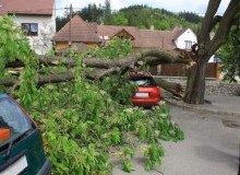 Kwikfynd Tree Cutting Services
eastlaunceston